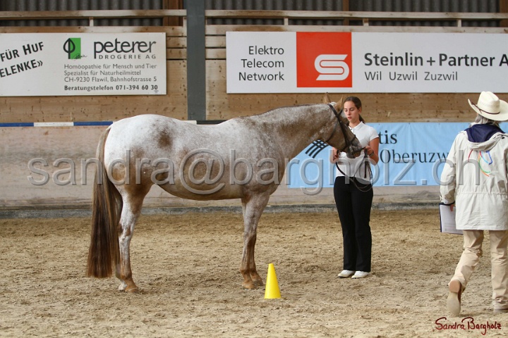24-ApHC HIH_042.jpg